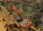 Pekerja Kayu Masyarakat Kecil Bukan Perusak Hutan, Perambahan Hutanlah Menebang Dengan Alat Berat Hingga Gundul !