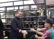 Ritual “Menanda Tahun”, Bupati Pakpak Bharat Serahkan Bantuan 1 Ekor Kerbau