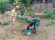 Peduli Kelestarian Alam, Babinsa Pos Wonotirto Bersama Warga Laksanakan Penanaman Pohon