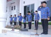 Plh Sekretaris Daerah Pimpin Upacara Hari Kesadaran Nasional