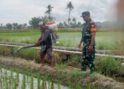 Babinsa Koramil 1607-07/Lunyuk Rutin Lakukan Pendampingan Ketahanan Pangan di Wilayah