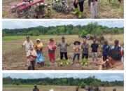 PJ. BUPATI SIMEULUE, MELAKUKAN TANAM PADI PERDANA SERTA MENYERAHKAN HAND TRAKTOR DAN MESIN POMPA AIR KEPADA PETANI.