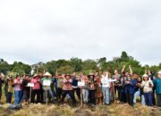 BANTUAN BERHASIL, BUPATI SAMOSIR VANDIKO TIMOTIUS GULTOM PANEN KENTANG BERSAMA KELOMPOK TANI MARLUNDU DI DESA PARTUNGKO NAGINJANG