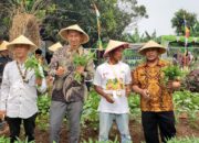 Mengenal Curug Edufarm Center Wisata Edukasi Di Tengah Keindahan Alam