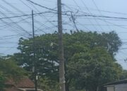 Kabel Semrawut Terpasang Di Tiang Tiang wilayah kecamatan Maron, Di duga Tanpa seizin dari pemilik nya. 