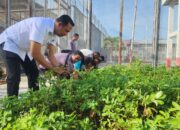 Bersama Warga Binaan, Kalapas Pohuwato Panen Kacang Tanah