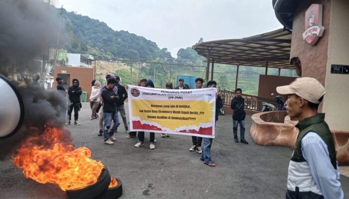 Resto Asep Strawberry di Puncak Dibiarkan Kokoh, PP-PMI Ancam Geruduk Istana Presiden Bogor