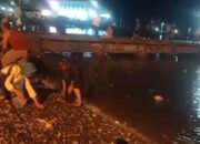 Heboh! Warga Berebut Ratusan Ikan yang Loncat ke Pantai Kota Agung Tanggamus