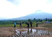 Polsek Bayongbong Cek TKP Remaja di Garut yang Tersambar Petir