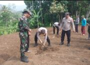 Penguatan Ketahanan Pangan Melalui Penanaman Pohon Sukun di Desa Simpen Kidul