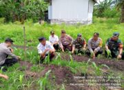 LAUNCHING GUGUS TUGAS POLRI DALAM KETAHANAN PANGAN, POLSEK TIMPAH BERSAMA TRIPIKA KECAMATAN TIMPAH, PEMDES ARUK DAN PERWAKILAN DINAS PERTANIAN KAB.KAPUAS CEK PEMANFAATAN LAHAN PEKARANGAN POKTAN DESA ARUK