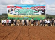 Gebrakan Progam Poliran Kapolda, Polda Banten Tanam Benih Jagung Sebanyak 64.875 Kg di Lahan Seluas 4.325 Ha