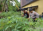 Polsek Timpah Melaksanakan Pengecekan Pemanfaatan Lahan Pekarangan milik Warga Desa Timpah