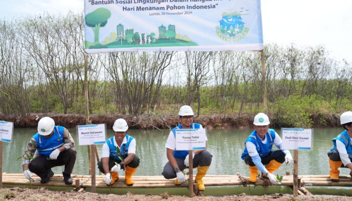 Kolaborasi PLN EPI, PLN IP dan Perhutani Kembangkan Ekosistem Mangrove dan Hutan Biomassa di Lontar*