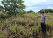 Polsek Pantai Lunci Waspadai Potensi Karhutla, Patroli dan Monitoring Rutin Di Area Rawan