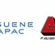 Asuene APAC Partners 2