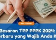 Kenaikan TPP PPPK 2024 Kabar Baik untuk Pegawai Pemerintah Dengan Perjanjian Kerja