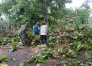 Kejadian Pohon Tumbang Ganggu Akses Jalan, TNI dan Warga Gotong Royong Bersihkan