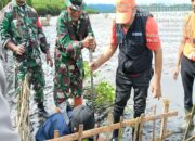 Babinsa Tarusa, Turut Serta Dalam Penanaman Mangrove Untuk Selamatkan Pesisir