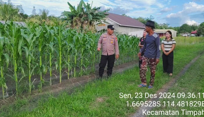 Polsek Timpah Melaksanakan Pengecekan Pemanfaatan Lahan Pekarangan Warga Desa Lungkuh Layang