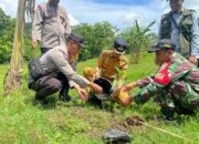 Sinergi Lintas Sektor, Koramil 1607-03/Ropang Dukung Penghijauan di Lenangguar