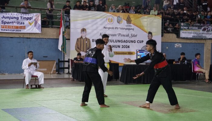 IPSI Tulungagung Gelar Kejuaraan Pencak Silat Bupati Cup 2024