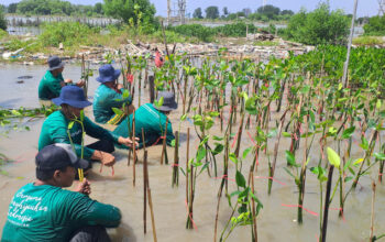 Kegiatan LindungiHutan