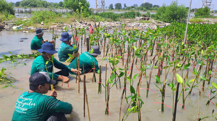 Kegiatan LindungiHutan