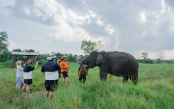 Lindungi Hutan