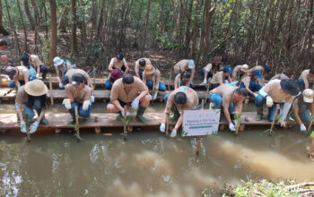 Program CSR PT Panin Asset Management Tanam Mangrove di PIK 1