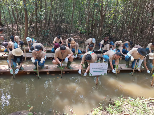 Program CSR PT Panin Asset Management Tanam Mangrove di PIK 1