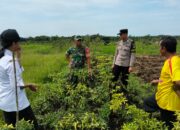 Optimalkan Hasil Panen, Bhabinkamtibmas Polsek Pangkalan Lada Sambang Kebun Milik Warga Binaan