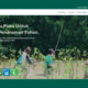 Homepage LindungiHutan