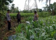 Personil Bhabinkamtibmas langsung Mendatangi kerbun warga walaupun jalan Becek