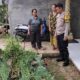 IMG 20250125 WA0127