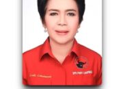 Agar Petani Tidak Merugi Budhi Condrowati Dorong Pemerintah Terbitkan Perda Lindungi Harga Singkong