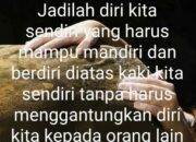 Jadilah Terlihat Kuat dan Mandiri di Tengah Hinaan ataupun Ketika Kita di Sepelekan