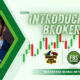 Program Introducing Broker IB