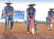 Pangkoopsudnas Dorong Ketahanan Pangan Melalui Penanaman Jagung Hibrida di Lanud R. Suryadi Suryadarma, Subang