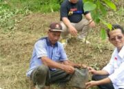 Wujud Kepedulian Lingkungan Hidup Dan Ketahanan Pangan AsMEN Tanam Puluhan Pohon Alpukat 15 Wujud Kepedulian Lingkungan Hidup Dan Ketahanan Pangan AsMEN Tanam Puluhan Pohon Alpukat