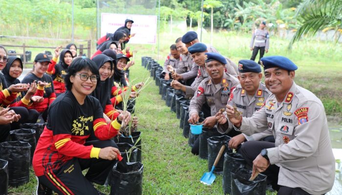 IMG 20250206 WA0423