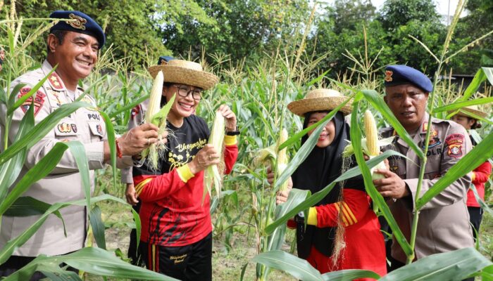 IMG 20250206 WA0486