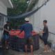 IMG 20250207 WA0033 1