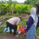 IMG 20250207 WA0034 1