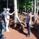 IMG 20250208 WA0155