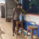 IMG 20250208 WA0360