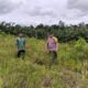 IMG 20250213 WA0313