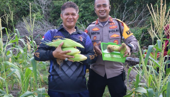 IMG 20250214 WA0115