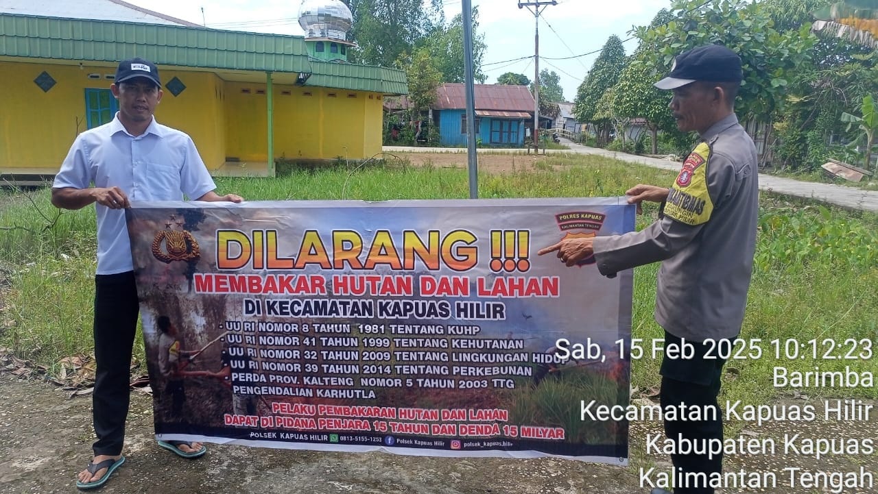 IMG 20250215 WA0033 1