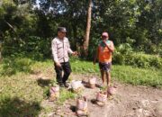 Bhabinkamtibmas Polsek Rambang Giat Rutin Cek Perkembangan Lahan Desa Percontohan 20 Bhabinkamtibmas Polsek Rambang Giat Rutin Cek Perkembangan Lahan Desa Percontohan